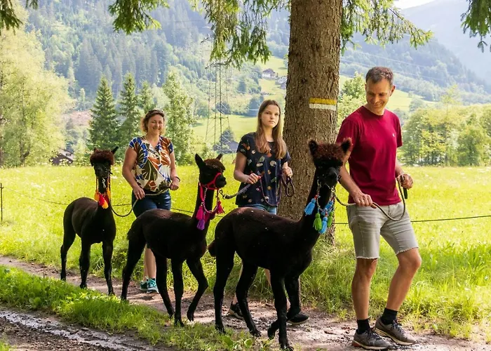 Apartment Haus Mair *