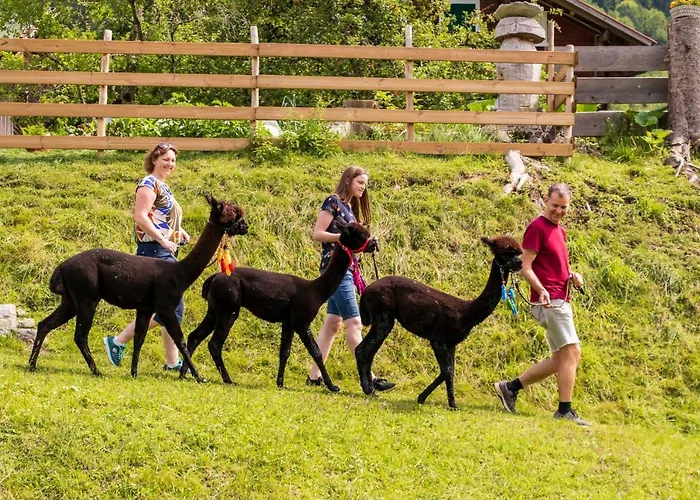 Haus Mair Apartment *