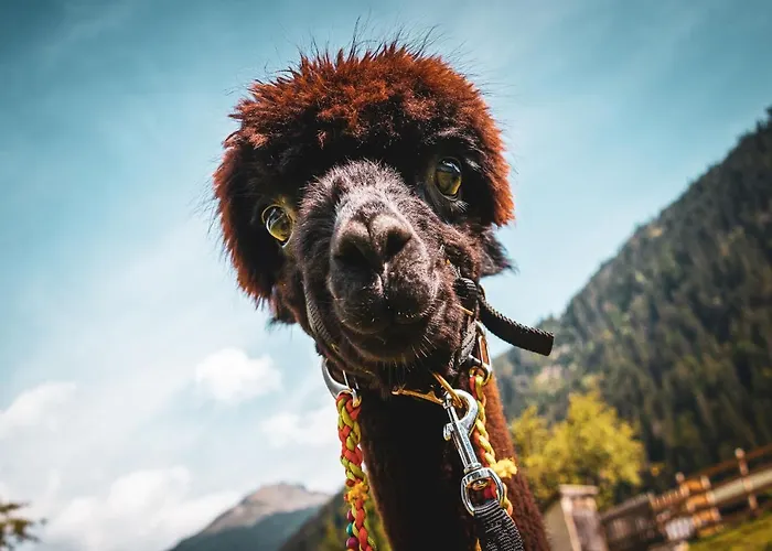 Haus Mair Apartment *